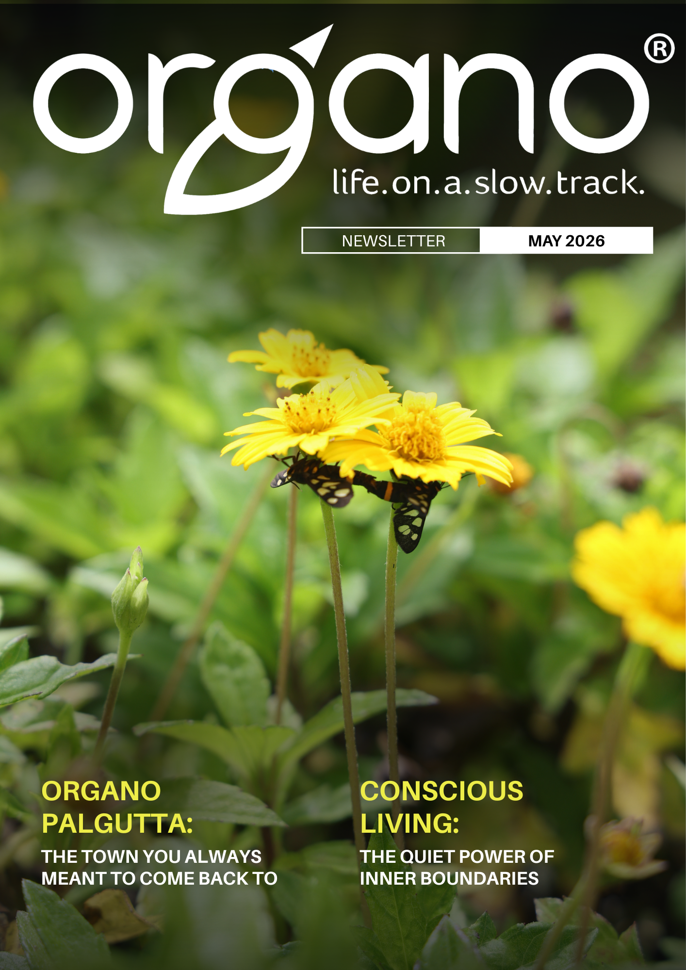 Organo Newsletter