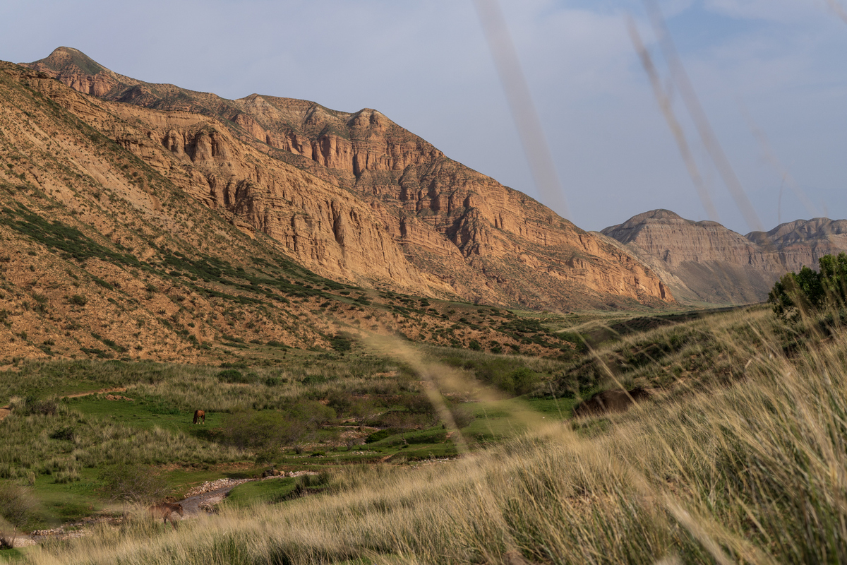Mazar Bash Valley, coi suoi canyon rossastri e le oasi di pioppi. Kyrgyzstan