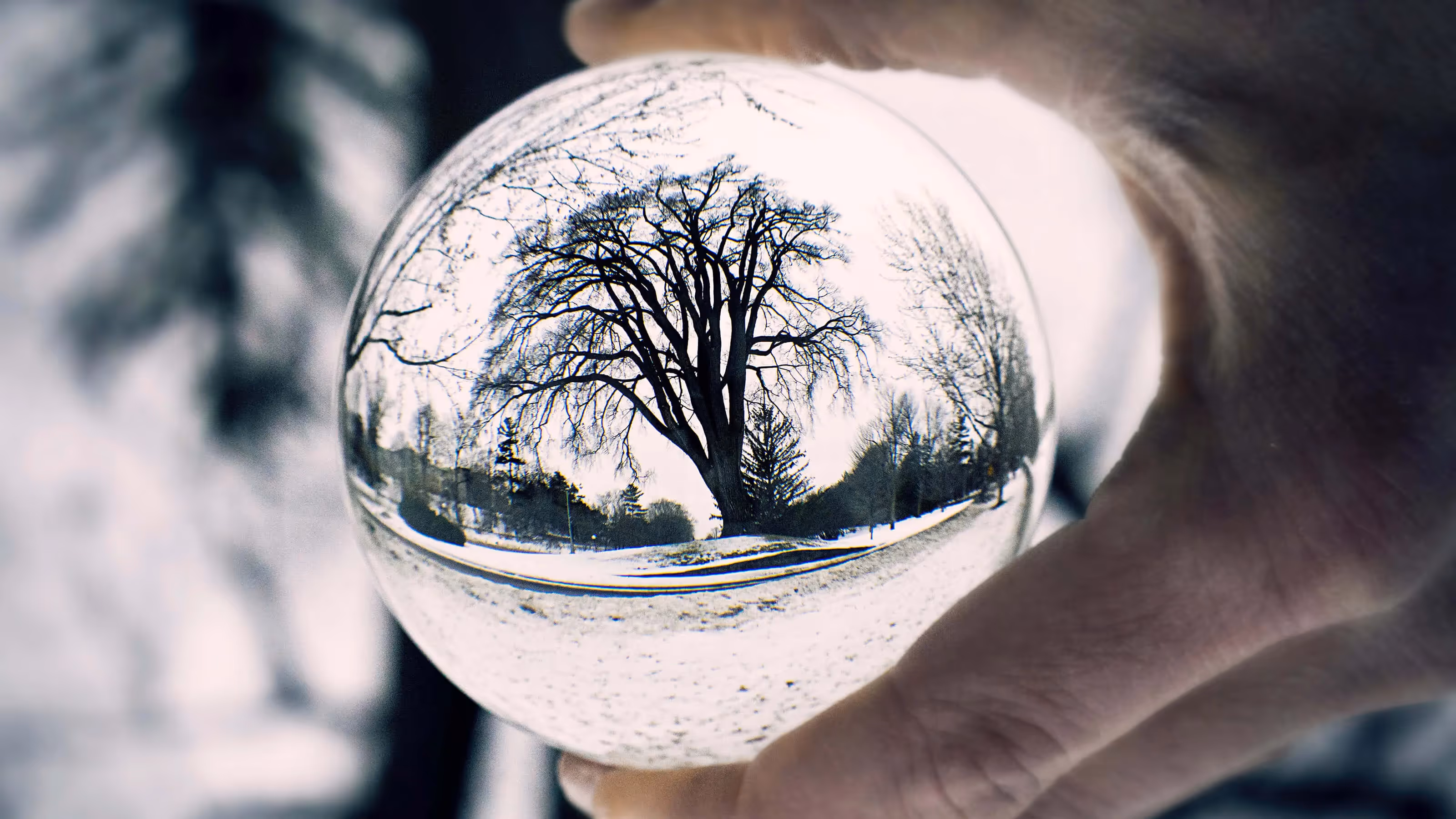 4 Scientific Facts About Mindfulness That Prove Its Transformative Effects on Us
