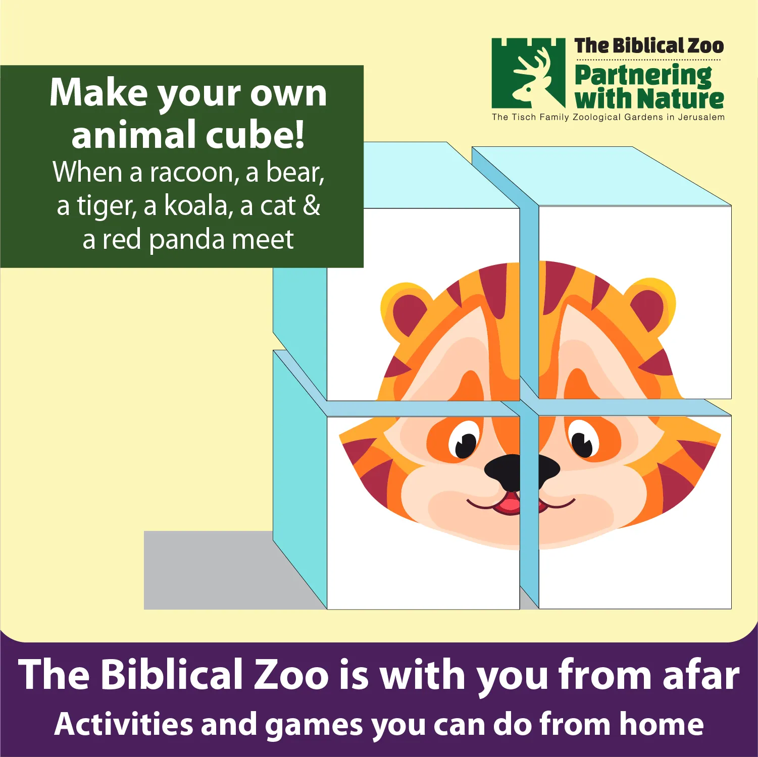 zoo puzzle for kids