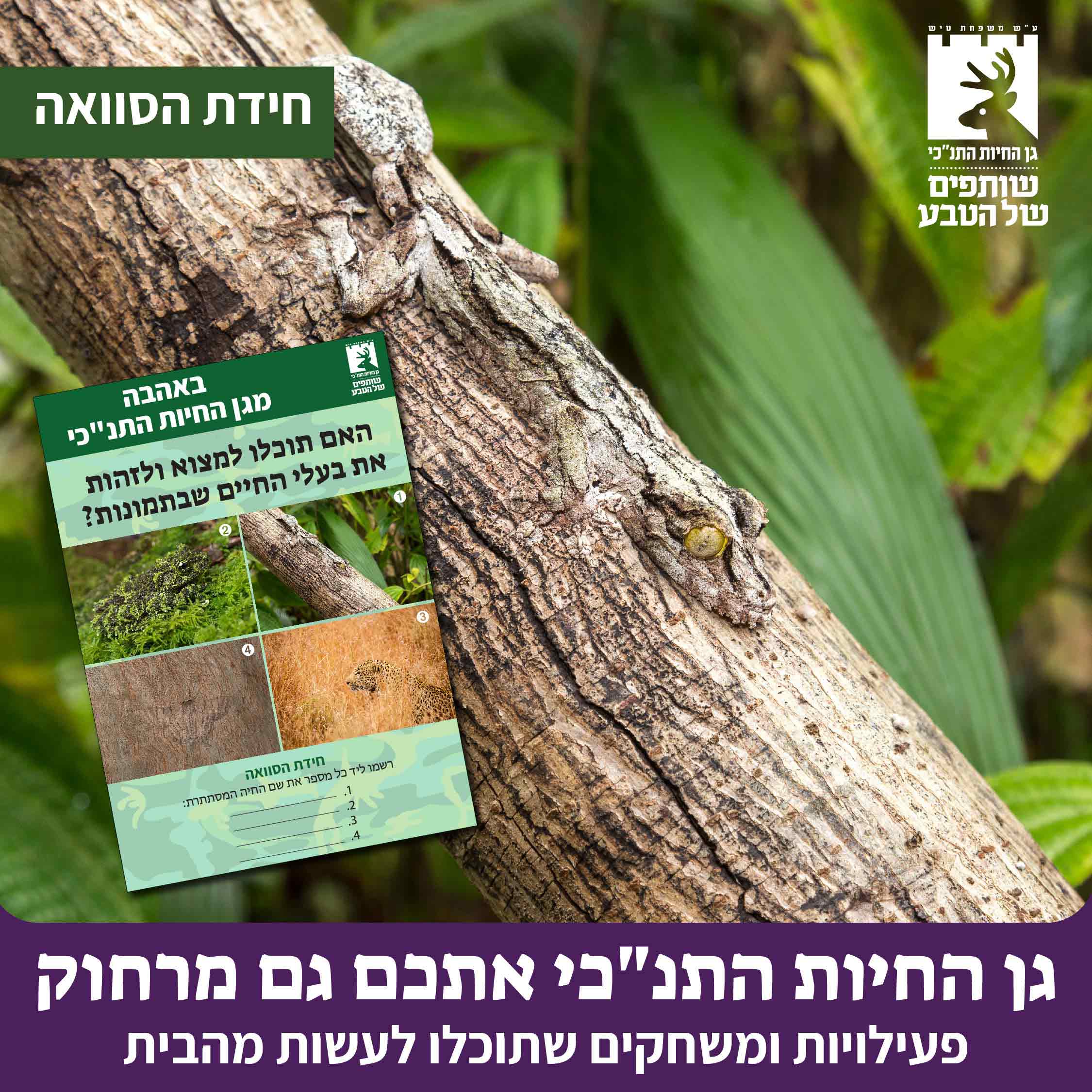 חידון הסוואה