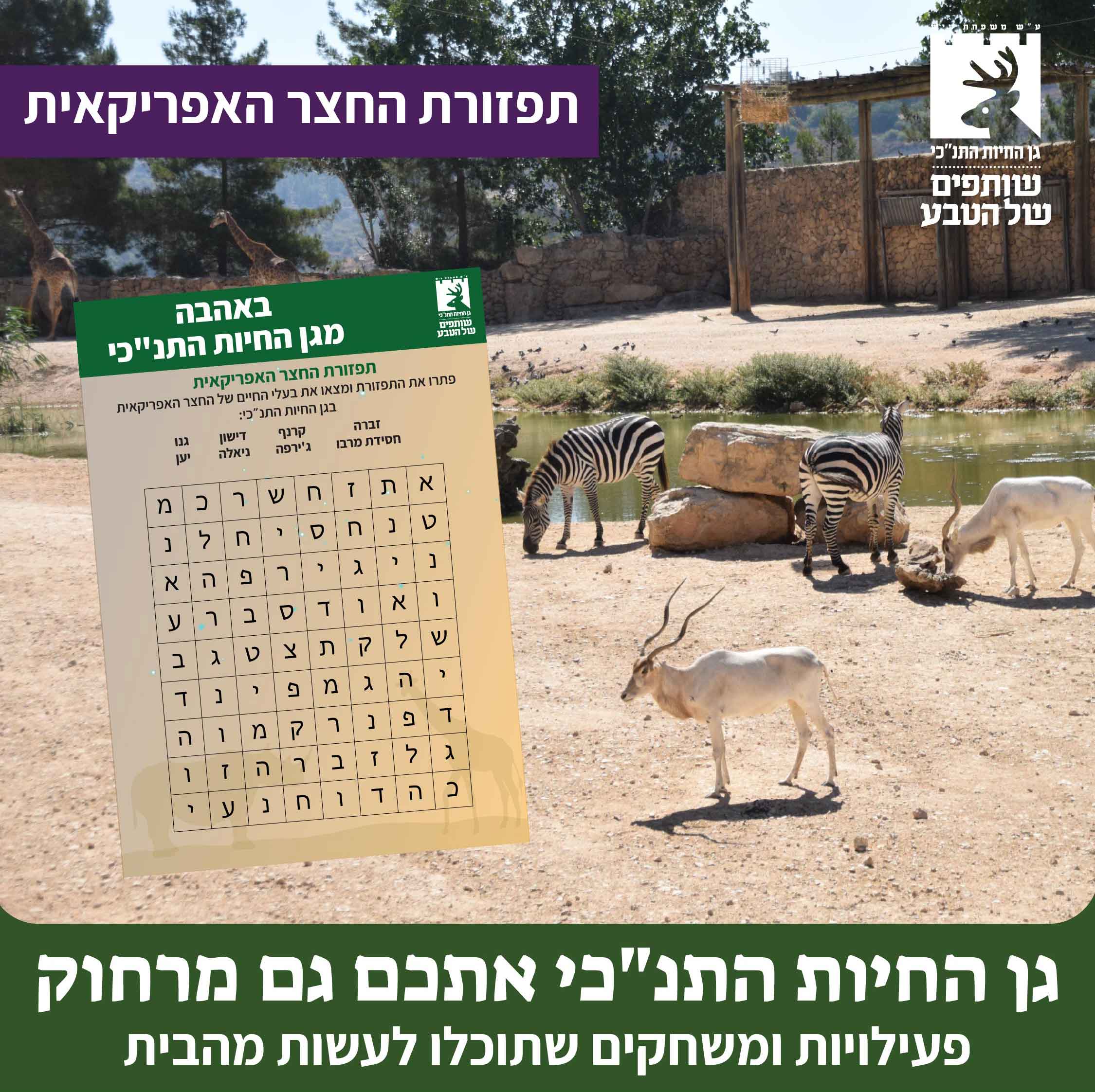 תפזורת החצר האפריאית