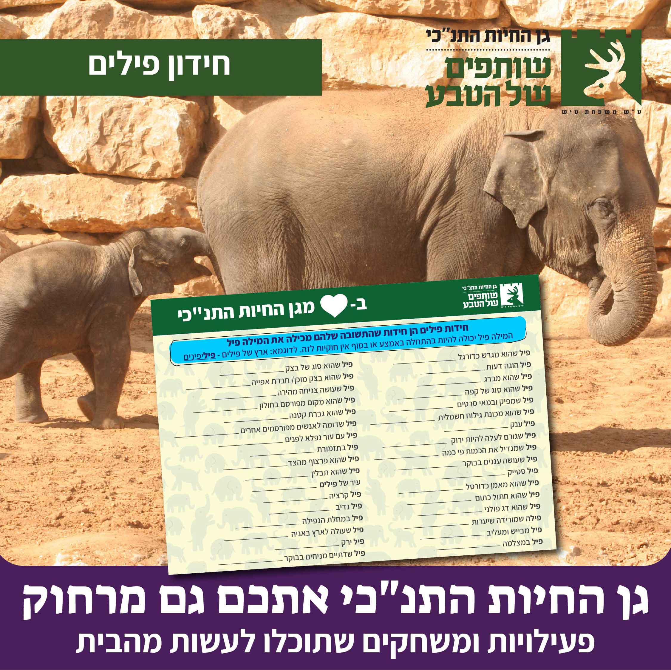 חידון פילים