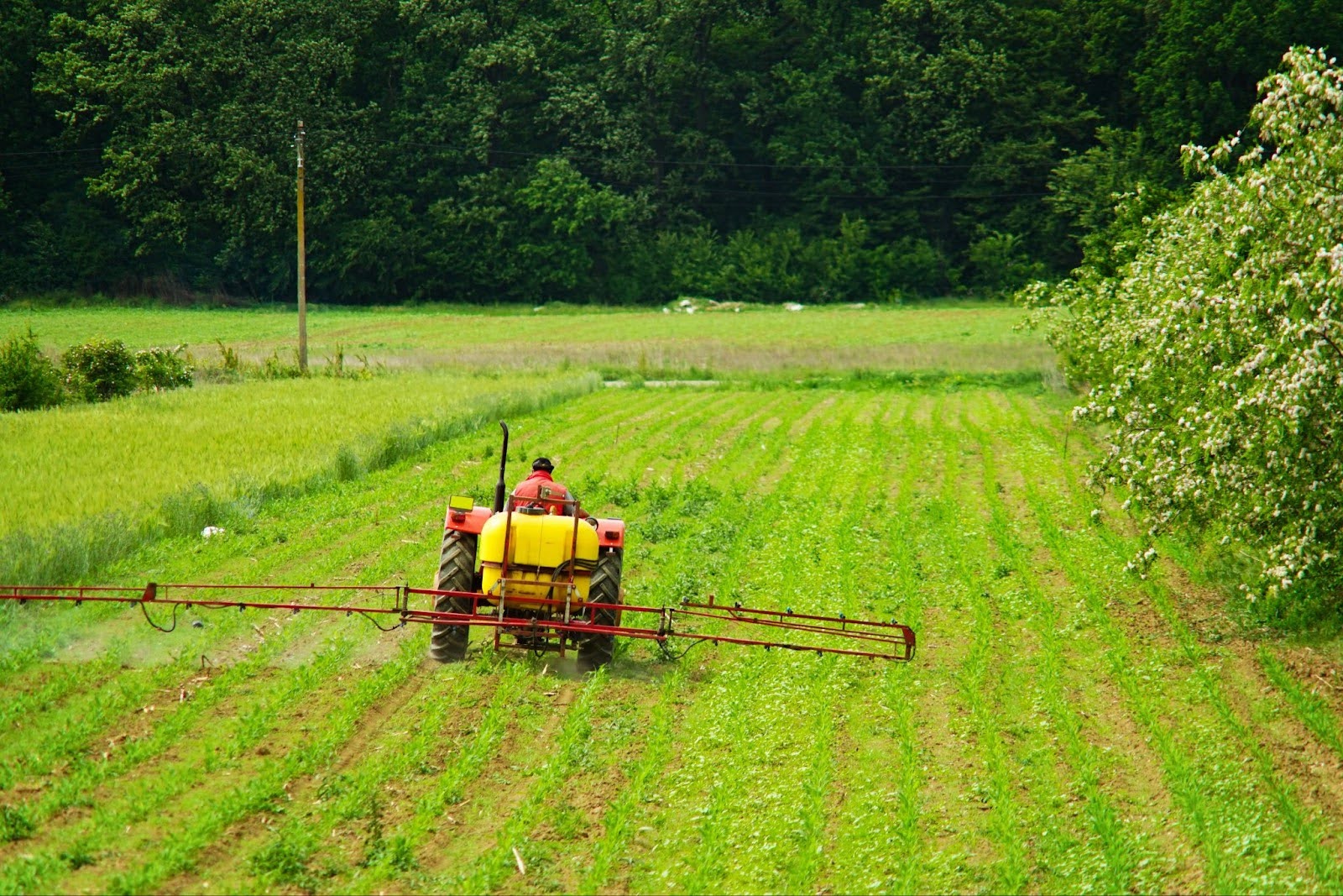 What is a sprayer?