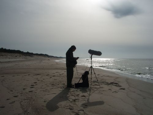 The photo shows a man standing on the beach, by the sea. The man is wearing headphones and holding a black box in his hand. In front of him, on a stand, is a microphone. It's a bright sunny day.