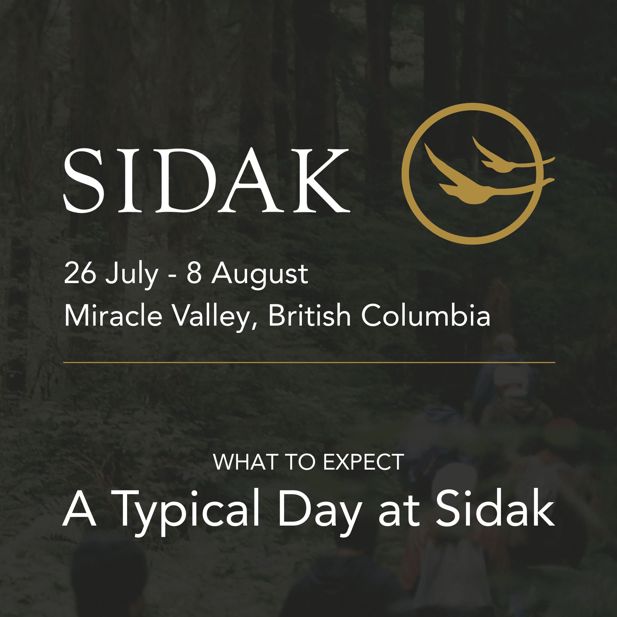 A Typical Day at Sidak