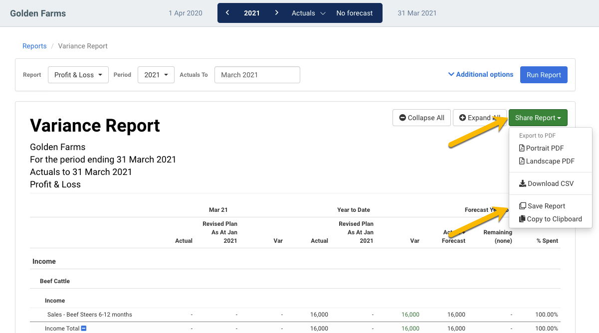 Screenshot of a Figured report. One arrow is pointing to the 'Share Report' icon, and one arrow is pointing to the 'Save Report' icon.