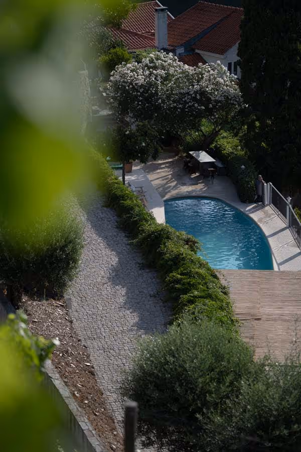 explore La Rosa img
