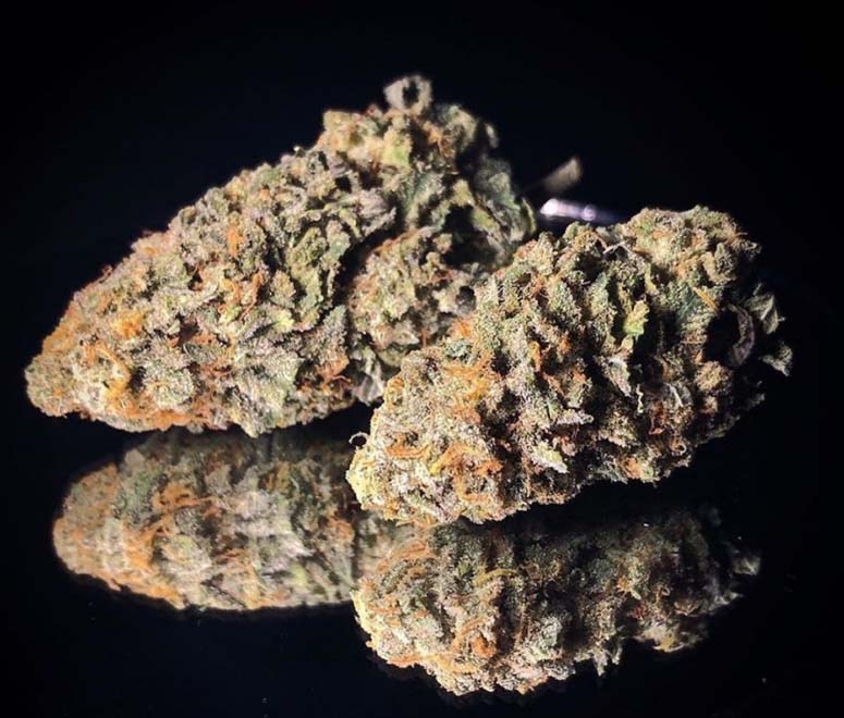 Orange Sherbert Strain Kalispell