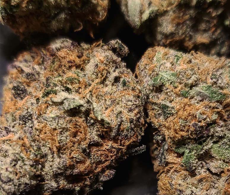 Tangerine Dream Strain Near Me