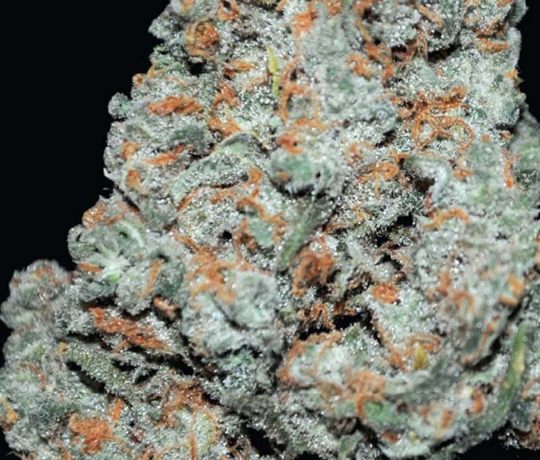 Dispensaries that carry Red Dragon strain