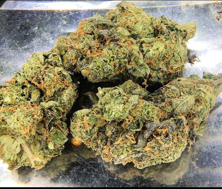 Gorilla Zkittlez strain Kalispell, Montana