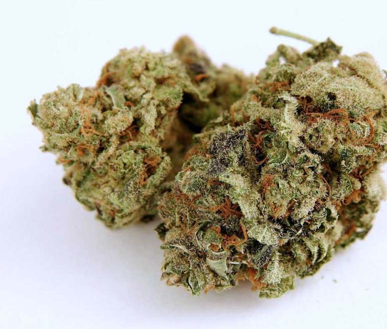 Medicinal Marijuana Doctor strain Kalispell, MT