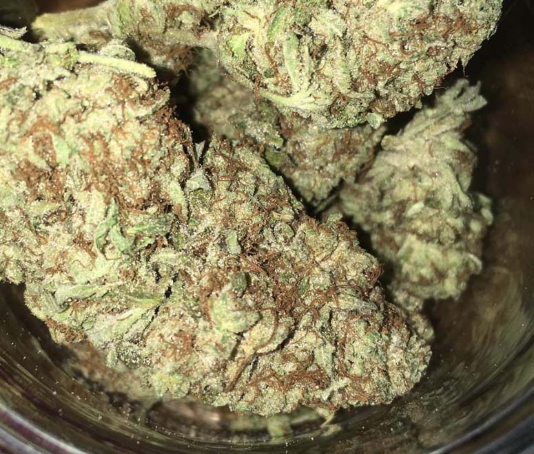 Cookies Kush strain Kalispell, Montana