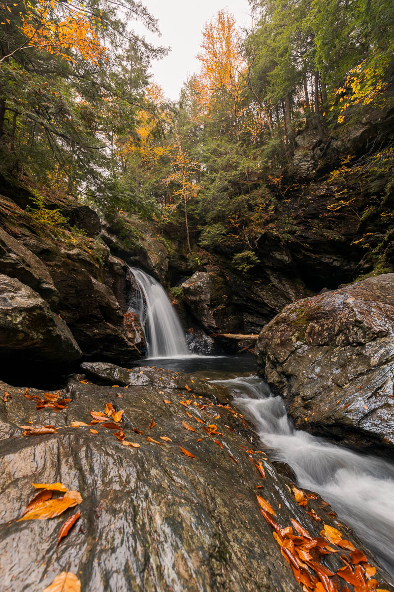 A small waterfall running down from thick fall foliage through a wet rocky area covered in orange leaves