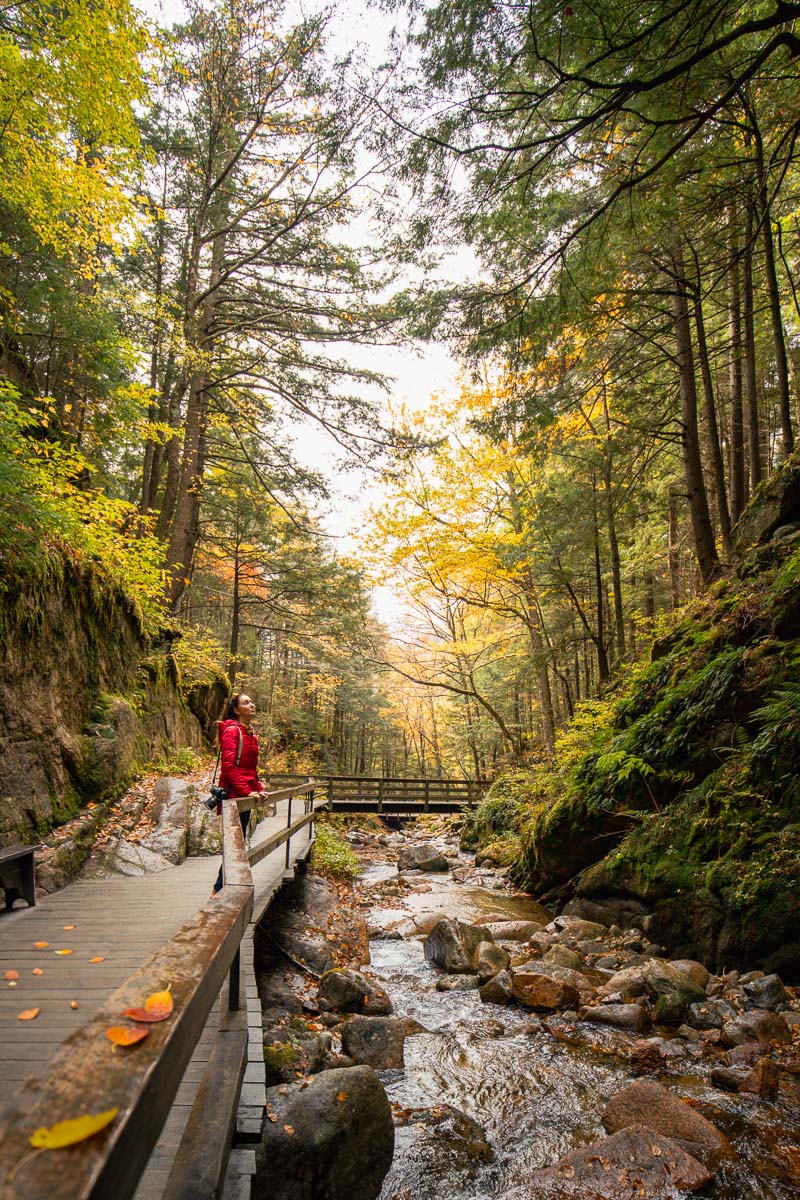 A woman standing on a wooden boardwalk through a narrow rocky gorge surrounded by fall foliage