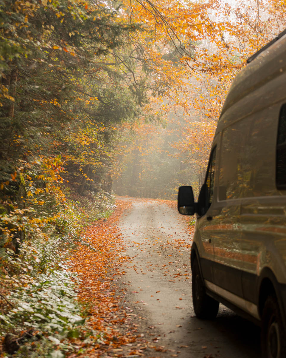 Looking down the side of a white campervan up a dirt road covered in fallen oranges leaves in the fall