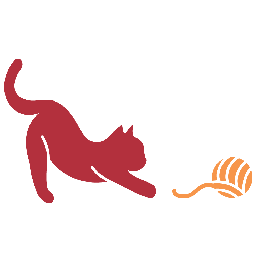 Red cat after orange yard