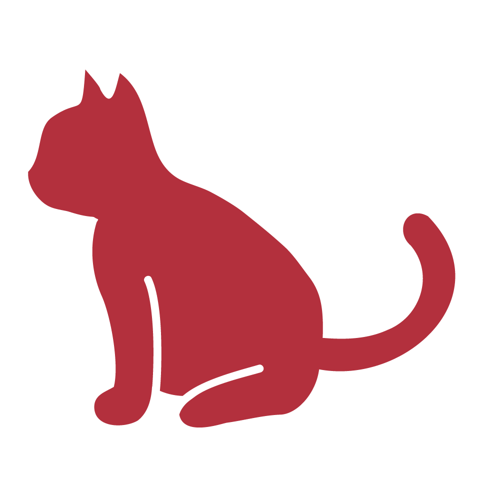 Red cat sitting facing to the left