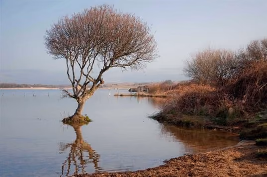 Y cyfrinachau y tu ôl i un o'r systemau twyni tywod mwyaf trawiadol yn y byd