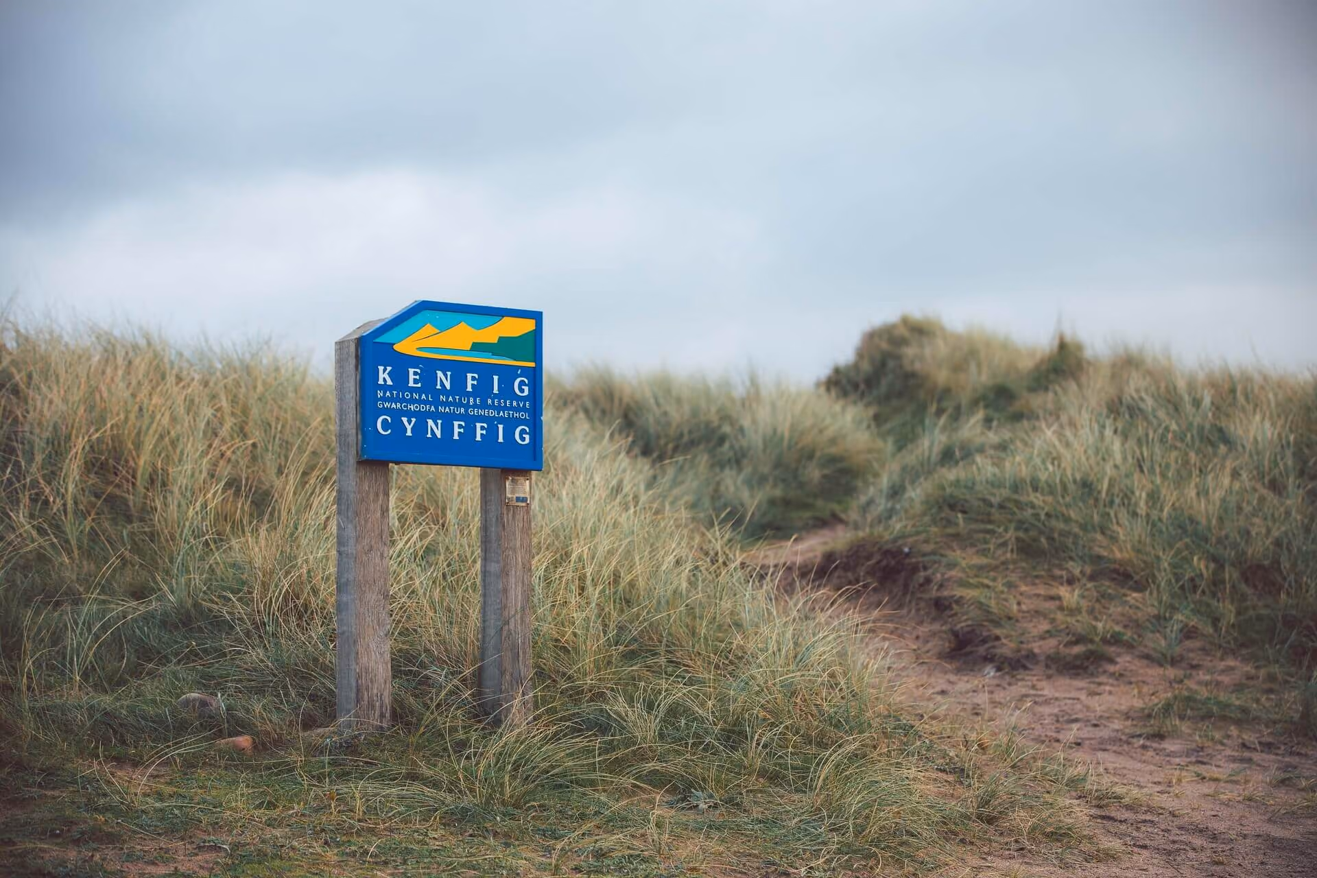 Taith Gerdded - Gwarchodfa Natur Cynffig