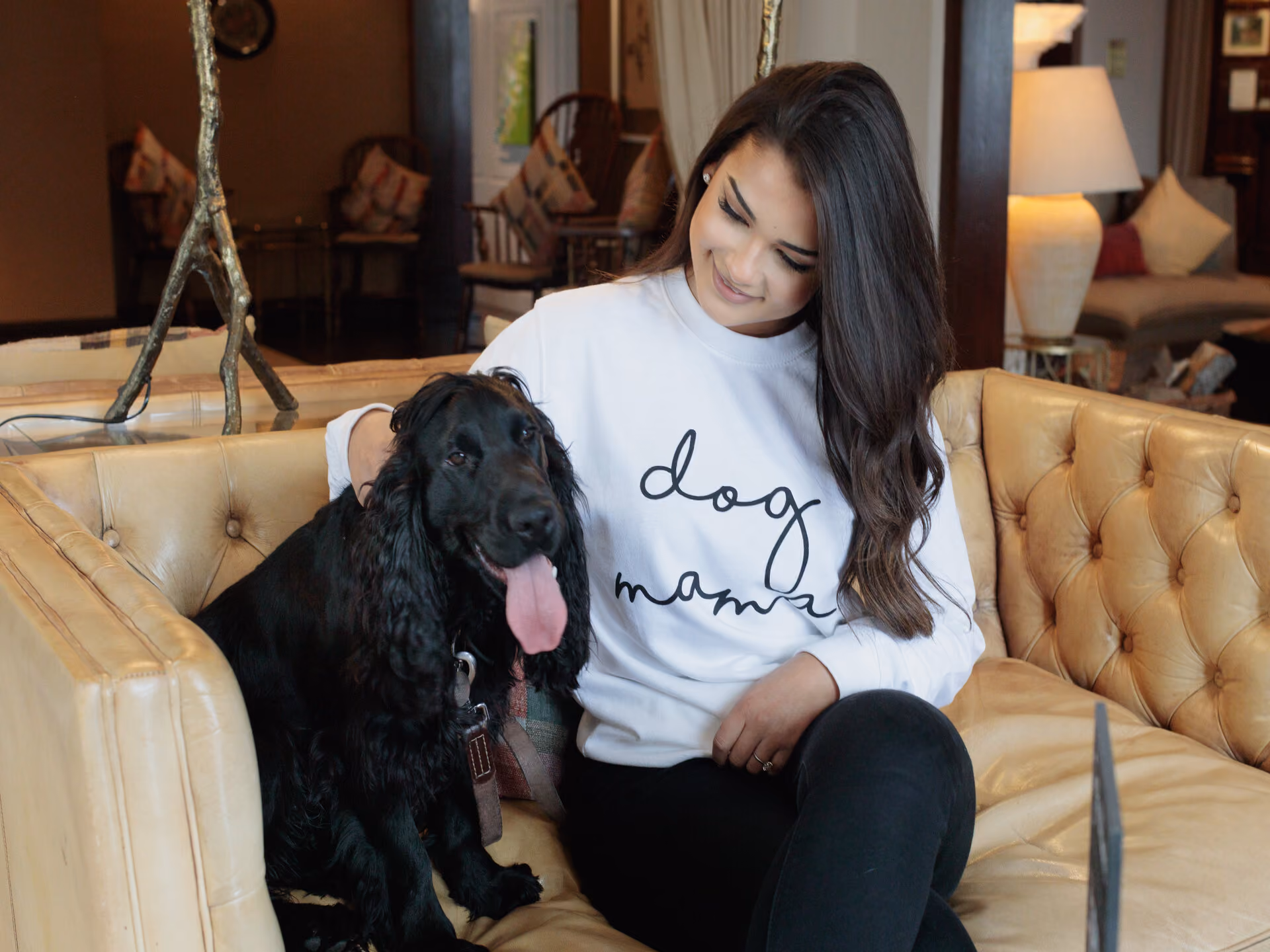 Dog with owner