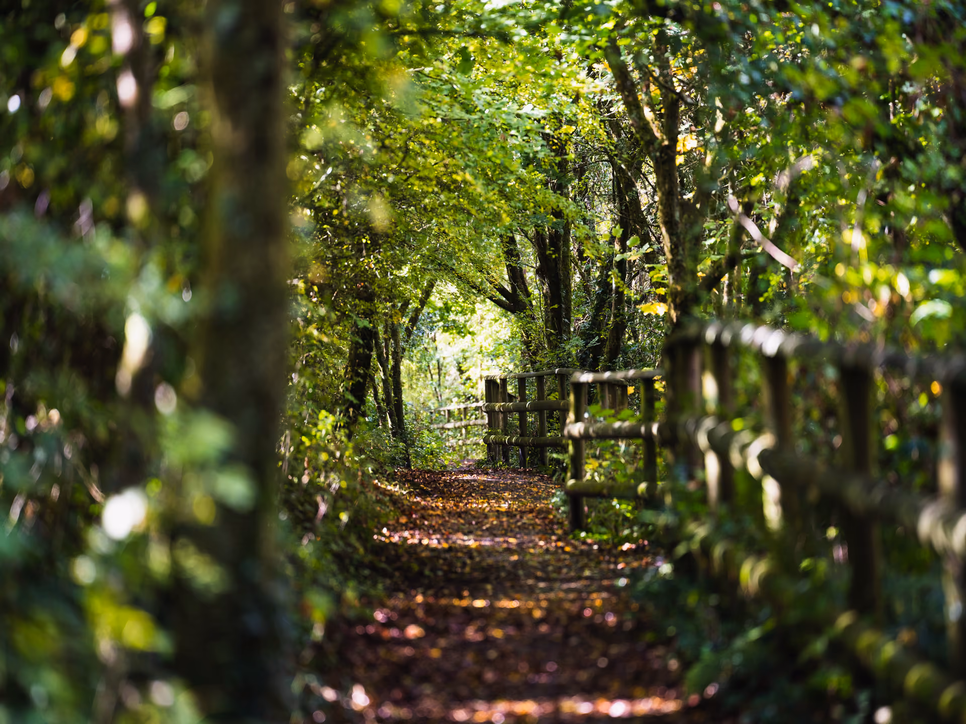 Darganfod Trysorau Naturiol Pen-y-bont ar Ogwr