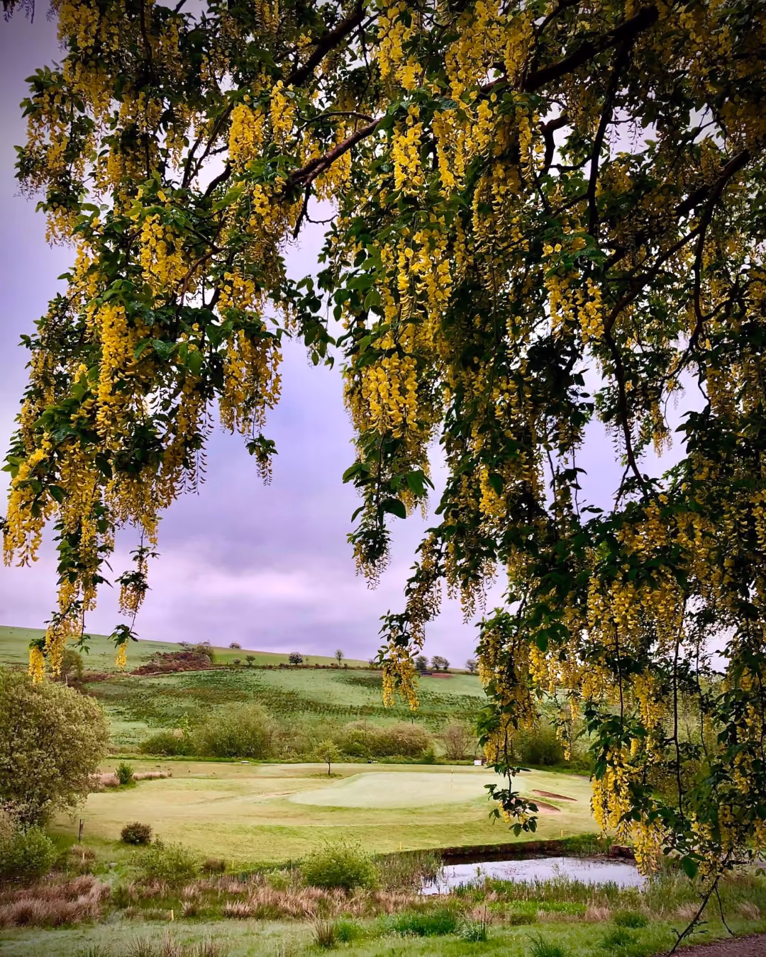 Gyda golygfeydd mor dda, mae'r golff yn mynd i fod yn wych! ⛳
Mae @maesteggolfclub yn un o chwe chlwb golff yn Sir Pen-y-bont ar Ogwr gyda hyfrydwch golygfaol ar hyd y cwrs - gan ei wneud yn gyrchfan perffaith ar gyfer y daith golff eithaf! 🏌️♀️
Darganfyddwch fwy yn ein blog! (Dolen yn y bio)
#VisitBridgend #VisitWales #FindYourEpic #golfingholiday #golf #golfing #golfclubs