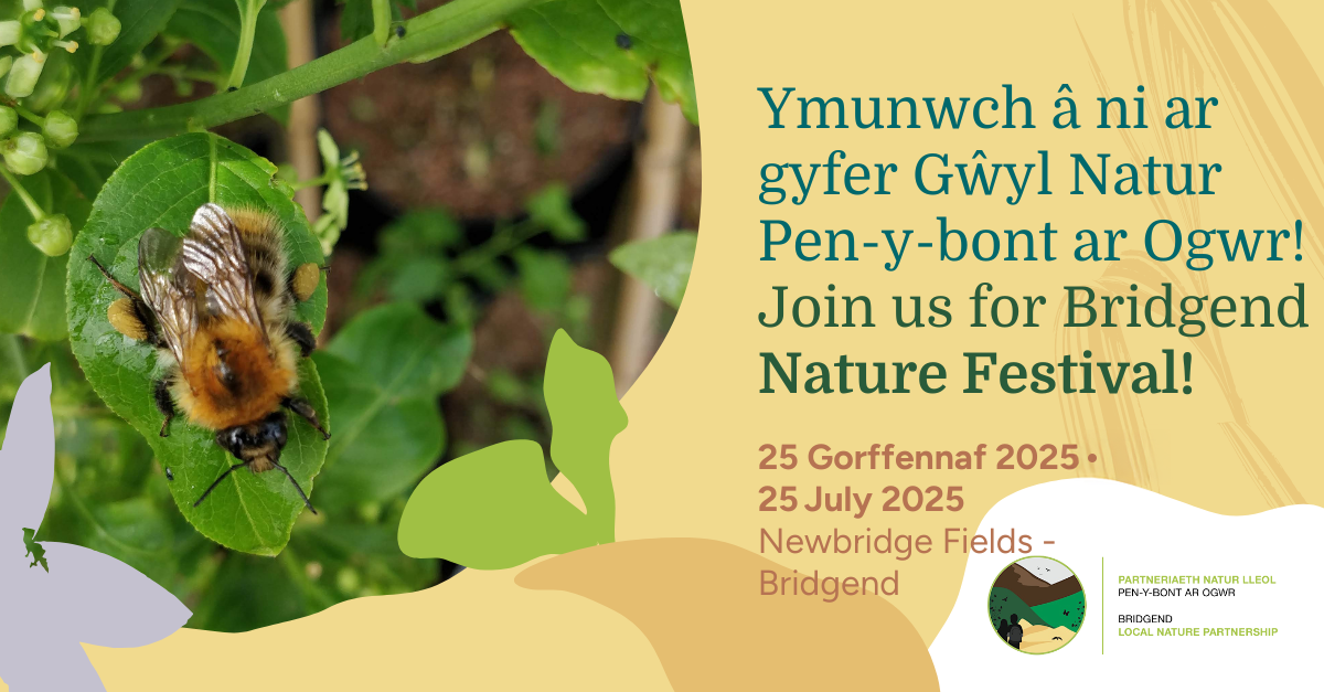 Come join us for a day of exploring and celebrating nature at Newbridge Fields!