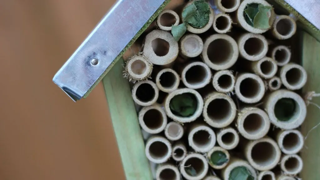 Build a bug Hotel