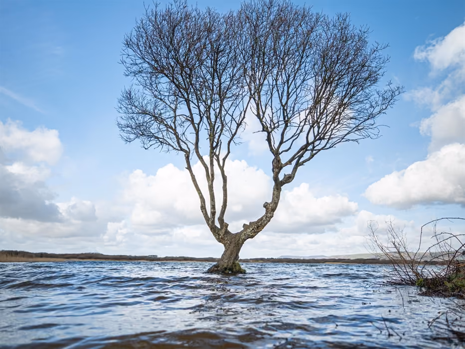 Gwarchodfa Natur Genedlaethol Cynffig