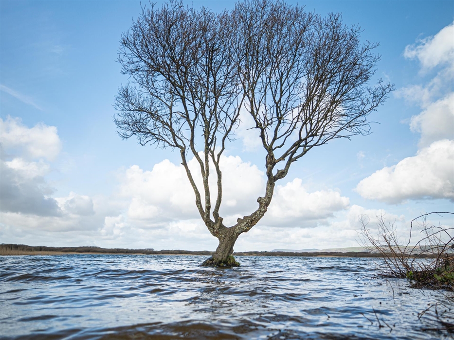 Gwarchodfa Natur Genedlaethol Cynffig