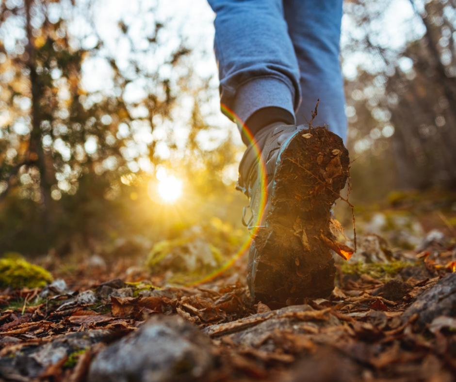Bryngarw Country Park - Wellbeing Wander through Nature
