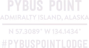 pybus coordinates watermark