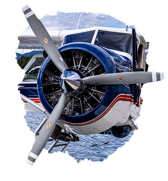 Pybus light aircraft