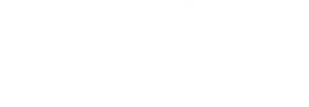 travelers' choice wordmark