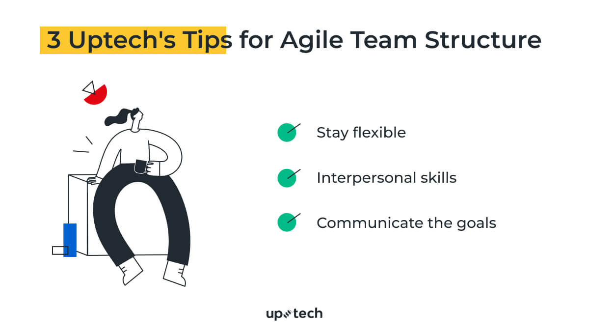 Software Development Team Structure