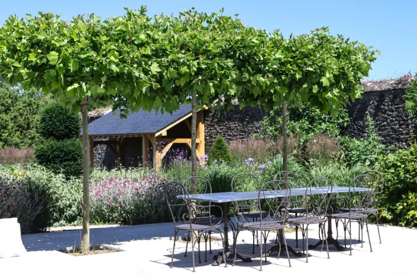 Dinner on the terrace with your host, Suzie Jackson