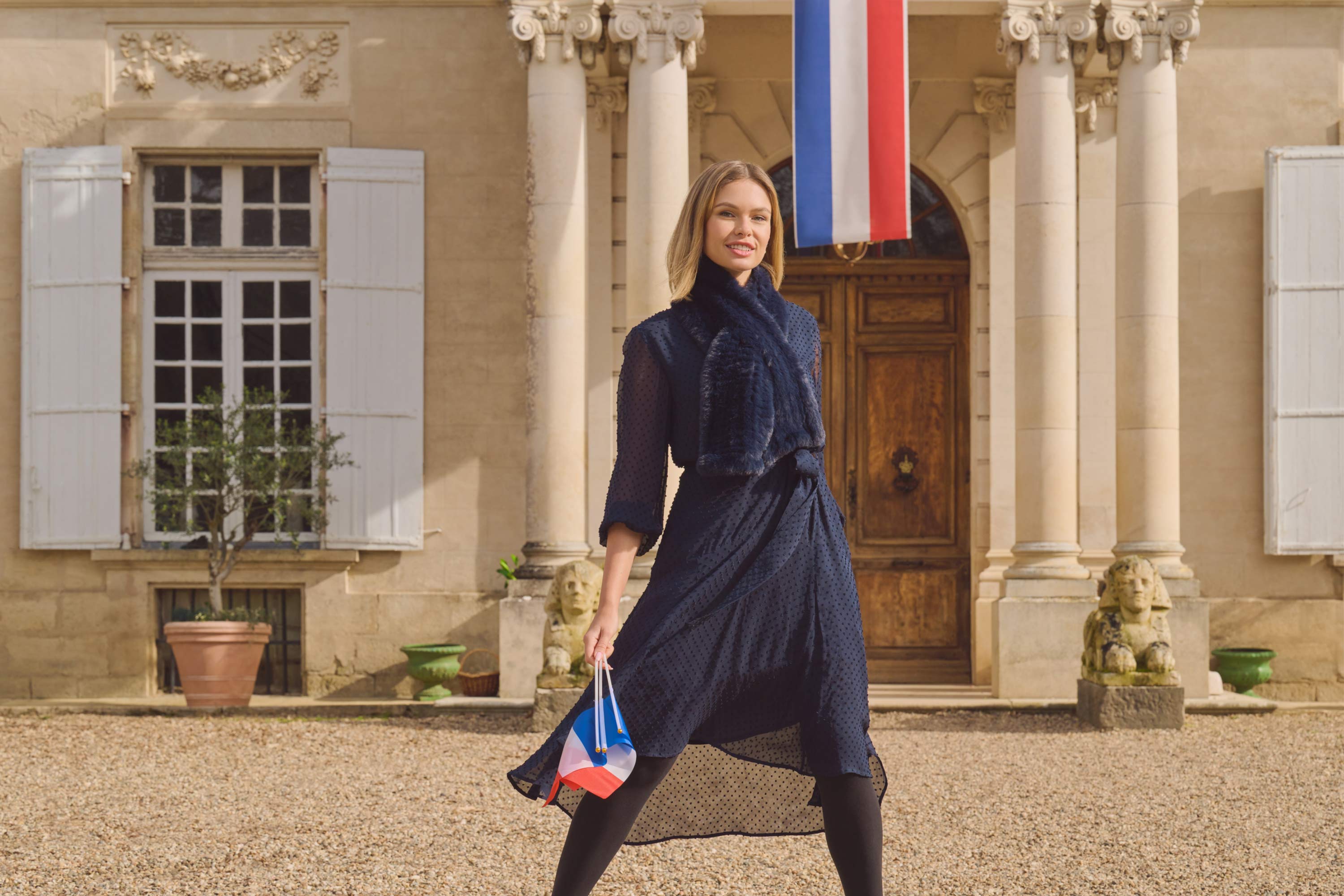 Clip Georgette Dress