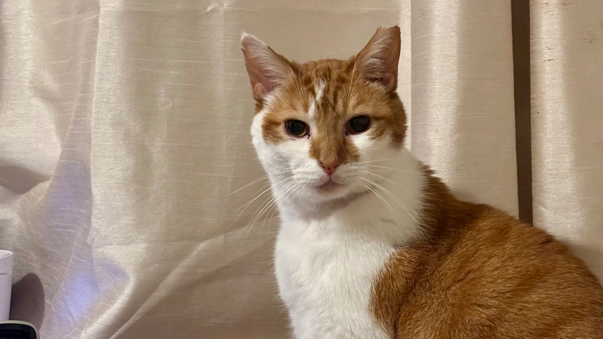 Max Needs You - Become His Sponsor Today