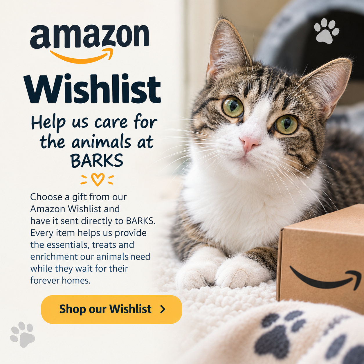 BARKS Amazon Wishlist