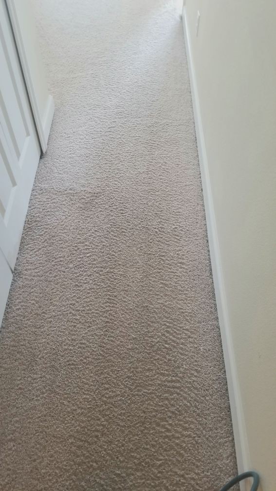 Clean Carpets