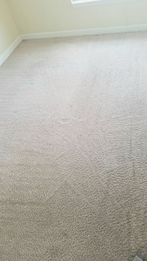 Clean Carpets