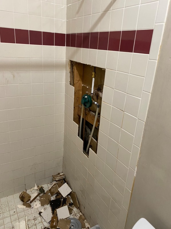 Shower Tile Before and After