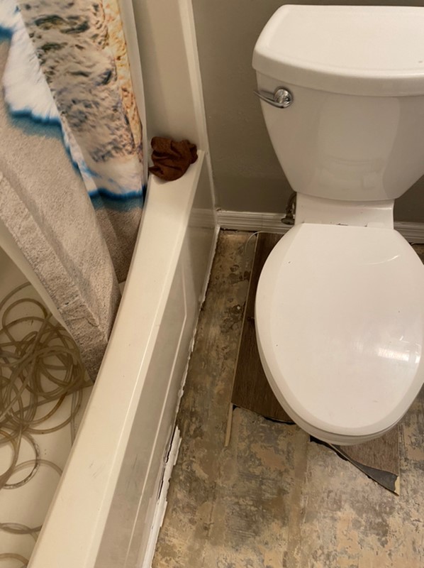 Water Cleanup and Restoration 