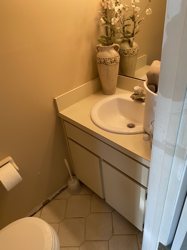 Updated Bathroom After Water Damage