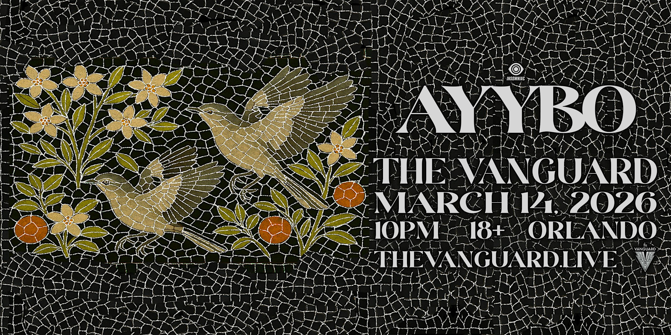 AYYBO – Spring 2026 North America Tour  at The Vanguard