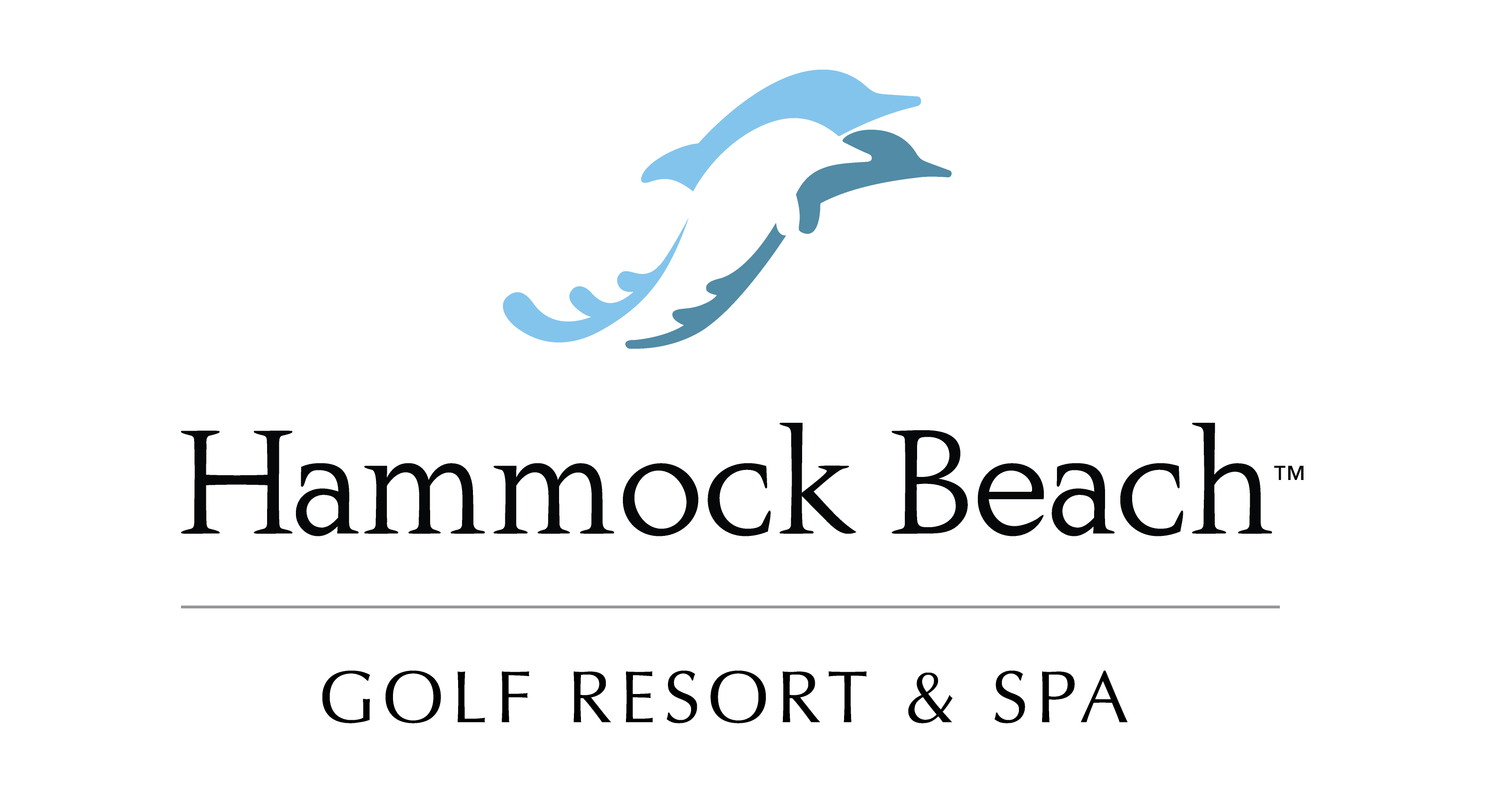 Logo for the vendor