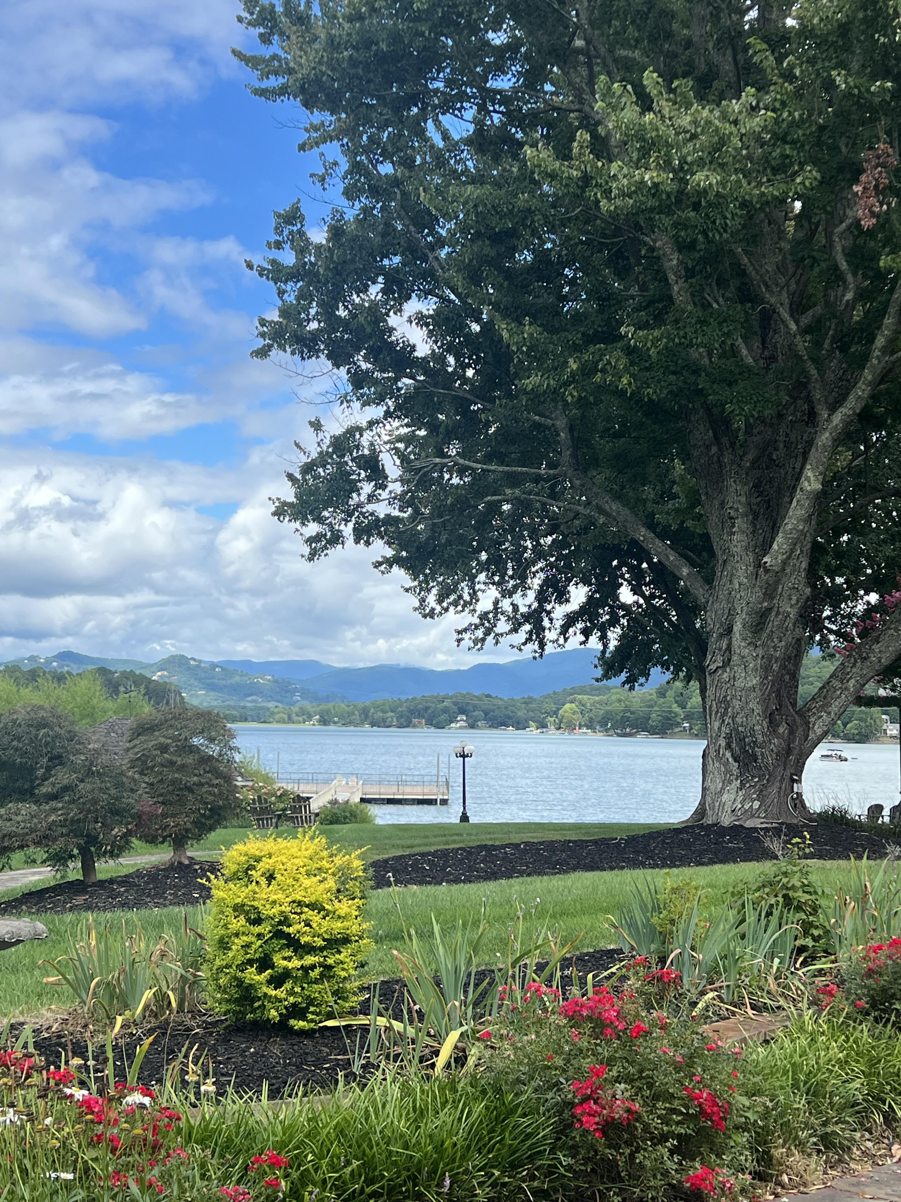 Third excellent image of the vendor