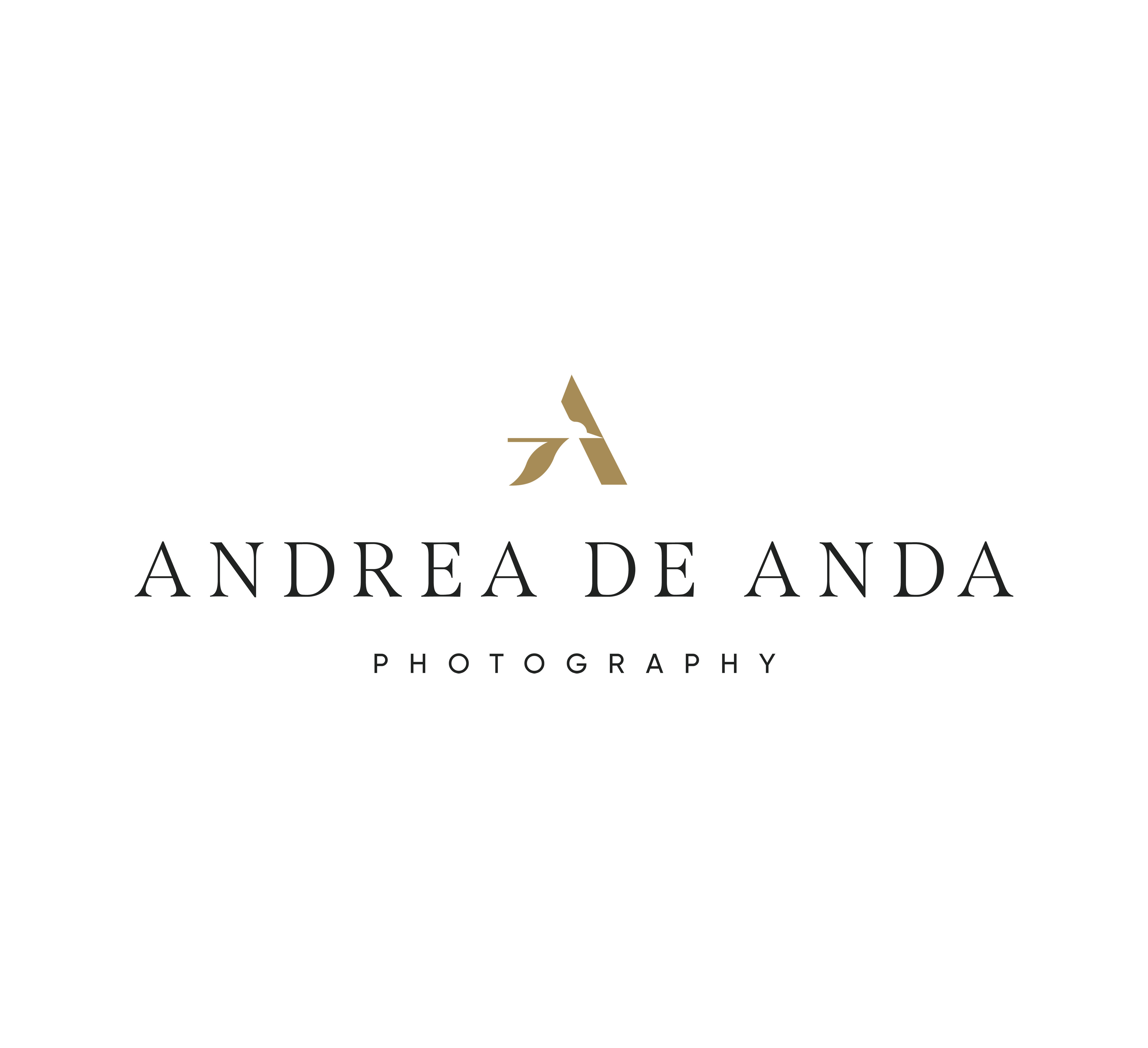Logo for the vendor
